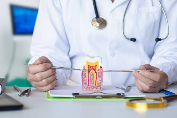 Best Emergency Treatment for Jaw Pain or Injury in Nes, IL